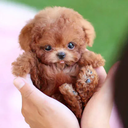 🐶🌭Nicco - My Realistic Robot Puppy